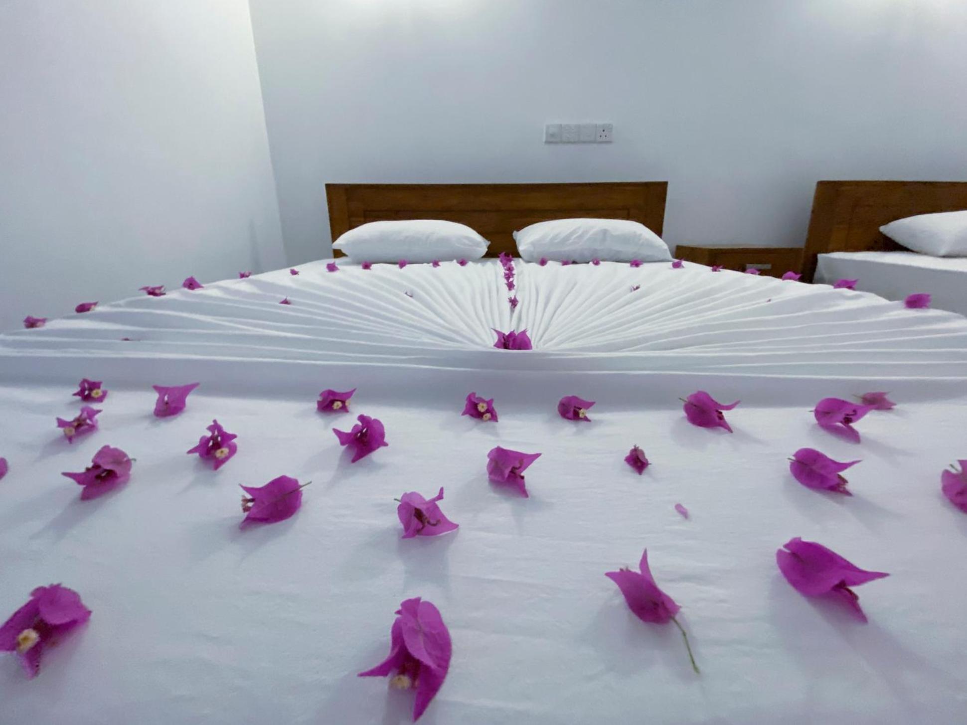 Yala Safari Green Home Stay Tissamaharama Exterior foto